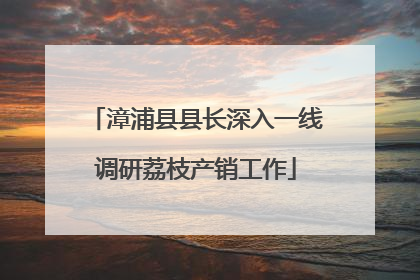 漳浦县县长深入一线调研荔枝产销工作