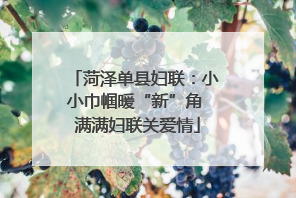 菏泽单县妇联：小小巾帼暖“新”角 满满妇联关爱情