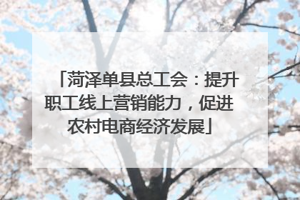 菏泽单县总工会：提升职工线上营销能力，促进农村电商经济发展