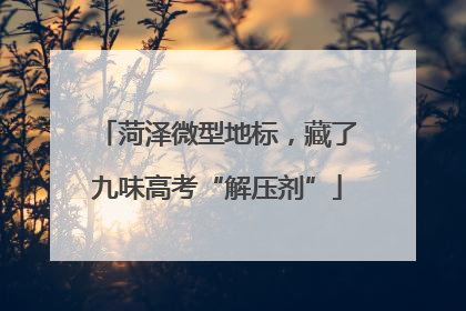 菏泽微型地标，藏了九味高考“解压剂”