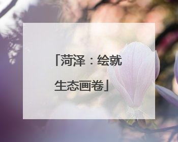 菏泽：绘就生态画卷