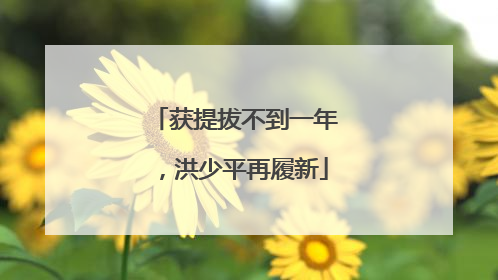 获提拔不到一年，洪少平再履新