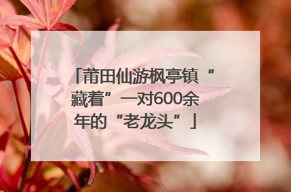 莆田仙游枫亭镇“藏着”一对600余年的“老龙头”