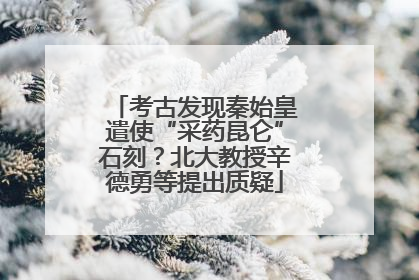 考古发现秦始皇遣使“采药昆仑”石刻？北大教授辛德勇等提出质疑