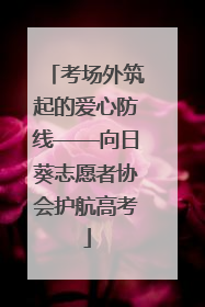 考场外筑起的爱心防线——向日葵志愿者协会护航高考