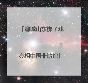 聊城山东梆子戏亮相中国非遗馆