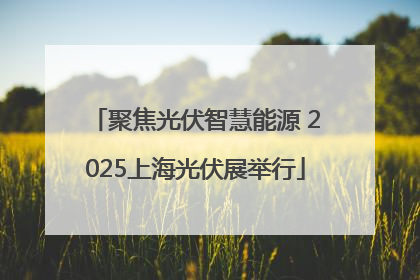 聚焦光伏智慧能源 2025上海光伏展举行