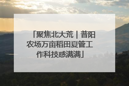 聚焦北大荒｜普阳农场万亩稻田夏管工作科技感满满