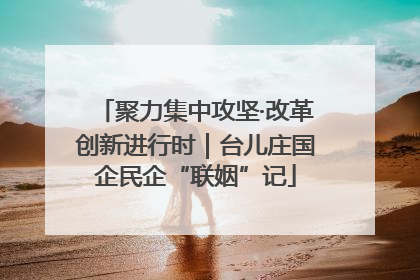聚力集中攻坚·改革创新进行时｜台儿庄国企民企“联姻”记