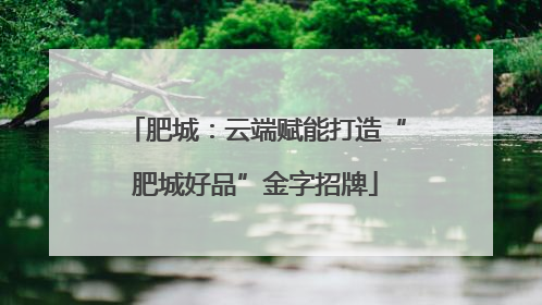 肥城：云端赋能打造“肥城好品”金字招牌