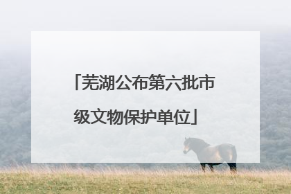 芜湖公布第六批市级文物保护单位