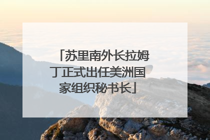 苏里南外长拉姆丁正式出任美洲国家组织秘书长