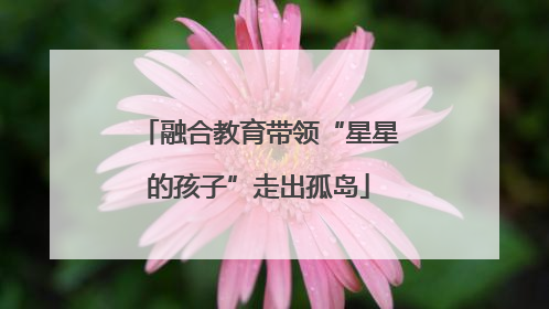 融合教育带领“星星的孩子”走出孤岛