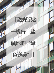 融媒记者一线行｜盐碱地的“绿色逆袭”