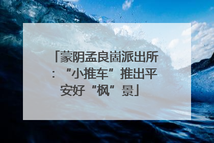 蒙阴孟良崮派出所：“小推车”推出平安好“枫”景