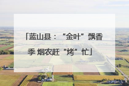 蓝山县：“金叶”飘香季 烟农赶“烤”忙