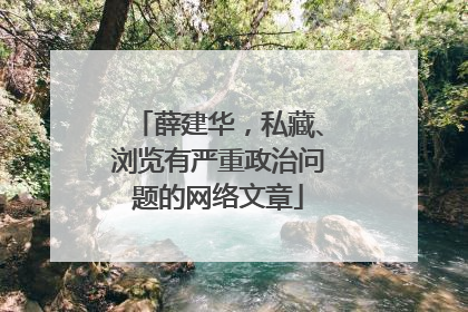 薛建华，私藏、浏览有严重政治问题的网络文章