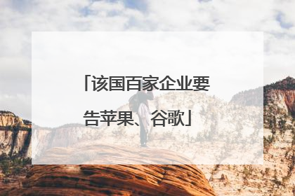 该国百家企业要告苹果、谷歌