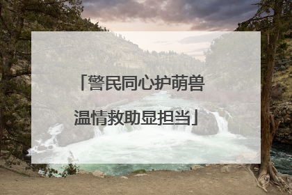 警民同心护萌兽 温情救助显担当