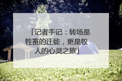 记者手记：转场是牲畜的迁徙，更是牧人的心灵之旅