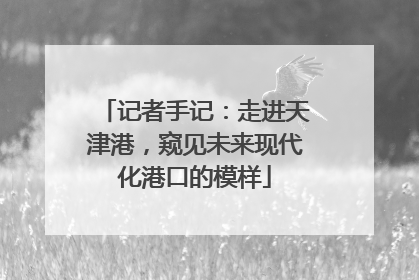 记者手记：走进天津港，窥见未来现代化港口的模样
