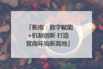 衡南：数字赋能+机制创新 打造营商环境新高地