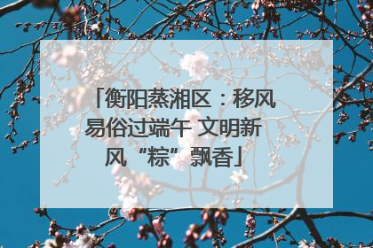 衡阳蒸湘区：移风易俗过端午 文明新风“粽”飘香
