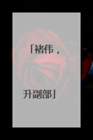 褚伟，升副部
