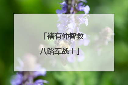 褚有仲智救八路军战士