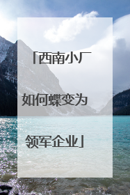 西南小厂如何蝶变为领军企业