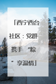 西宁西台社区：党群携手 “粽”享温情