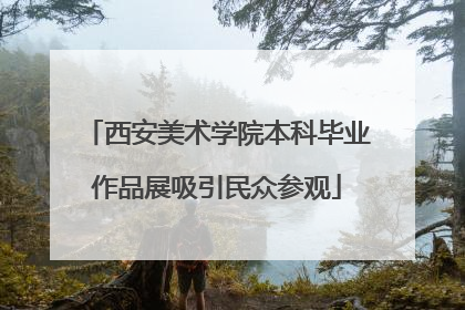 西安美术学院本科毕业作品展吸引民众参观