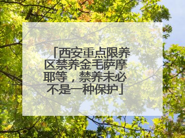 西安重点限养区禁养金毛萨摩耶等，禁养未必不是一种保护