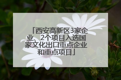 西安高新区3家企业、2个项目入选国家文化出口重点企业和重点项目