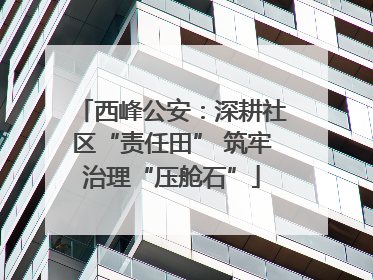 西峰公安：深耕社区“责任田” 筑牢治理“压舱石”