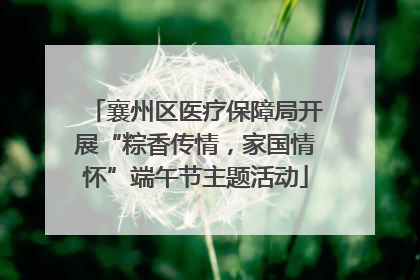 襄州区医疗保障局开展“粽香传情，家国情怀”端午节主题活动