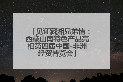 见证藏湘兄弟情：西藏山南特色产品亮相第四届中国-非洲经贸博览会