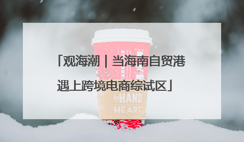 观海潮｜当海南自贸港遇上跨境电商综试区