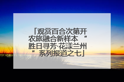观赏百合次第开 农旅融合新样本 “胜日寻芳·花漾兰州”系列报道之七