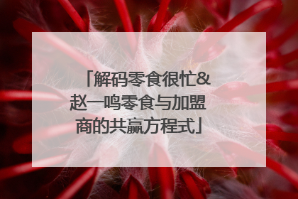 解码零食很忙&赵一鸣零食与加盟商的共赢方程式