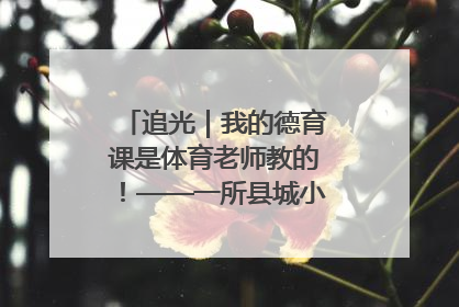 追光｜我的德育课是体育老师教的！——一所县城小学的思政课改革