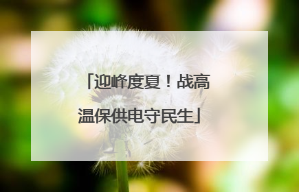 迎峰度夏！战高温保供电守民生