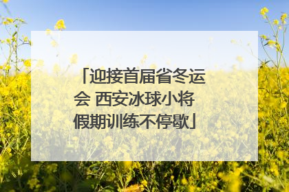 迎接首届省冬运会 西安冰球小将假期训练不停歇