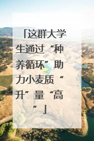 这群大学生通过“种养循环”助力小麦质“升”量“高”