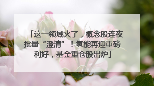 这一领域火了，概念股连夜批量“澄清”！氢能再迎重磅利好，基金重仓股出炉