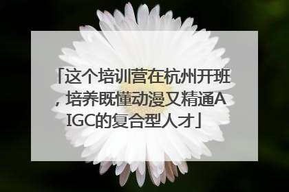 这个培训营在杭州开班，培养既懂动漫又精通AIGC的复合型人才