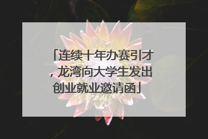连续十年办赛引才，龙湾向大学生发出创业就业邀请函