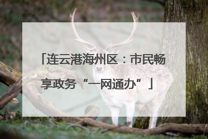 连云港海州区：市民畅享政务“一网通办”