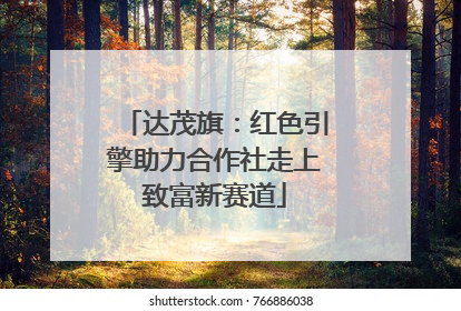 达茂旗：红色引擎助力合作社走上致富新赛道