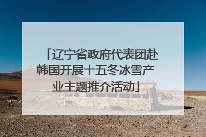 辽宁省政府代表团赴韩国开展十五冬冰雪产业主题推介活动